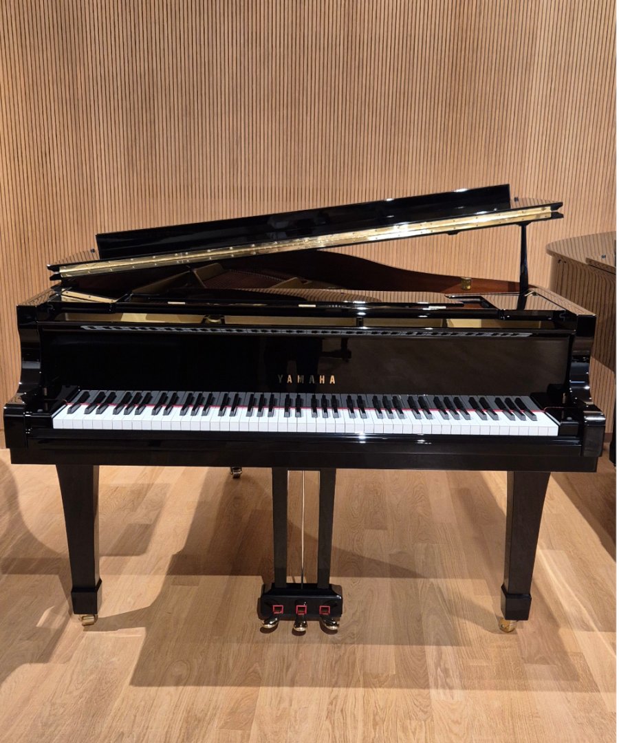 Yamaha C3 von 1994 in Zwart glimmend