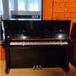 Yamaha b3 von 2019 in Zwart glimmend