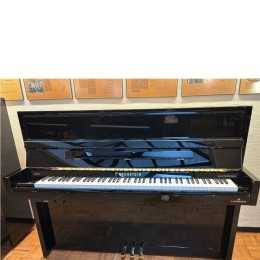 C. Bechstein Millenium 114 von 2022 in Zwart glimmend