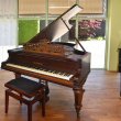 C. Bechstein B von 1880 in Palisander mat