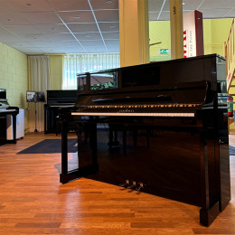 Schimmel 116S von 2001 in Zwart glimmend