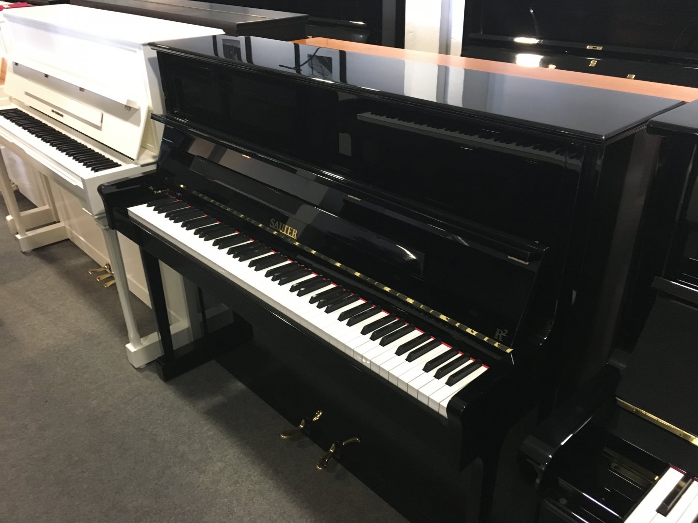Sauter 118 von 1981 in Zwart glimmend