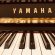 Yamaha MC301 - 121 von 1986 in Zwart glimmend