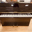 - Andere Marke - Rohlfing 99 "Mini" von 2002 in Zwart glimmend