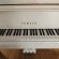 Yamaha GB1 von 2019 in Wit glimmend