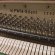 Yamaha b1 SG2 von 2012 in Wit glimmend