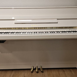 Yamaha b1 SG2 von 2012 in Wit glimmend
