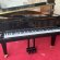 Schimmel F 156 Tradition von 24 in Zwart glimmend
