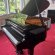 Schimmel F 156 Tradition von 24 in Zwart glimmend