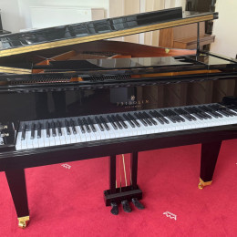 Schimmel F 156 Tradition von 24 in Zwart glimmend