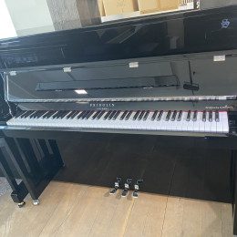 Schimmel Fridolin F 121 Tradition von 25 in Zwart glimmend