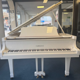 Yamaha G2 von 1983 in Wit glimmend