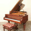 Pleyel 193 von 1895 in Palisander mat