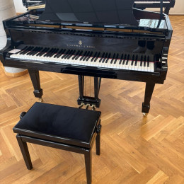 Steinway & Sons M 170 von 2020 in Zwart glimmend