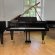Bösendorfer Konzert 225 von 1981 in Zwart glimmend