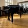 Steinway & Sons B 211 von 2003 in Zwart glimmend