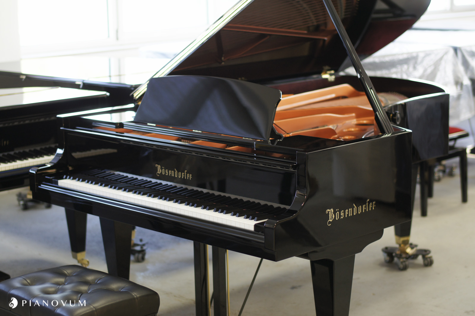 Bösendorfer 225 von 2016 in Zwart glimmend