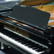 Kawai Shigeru KAWAI SK 2 von 2012 in Zwart glimmend