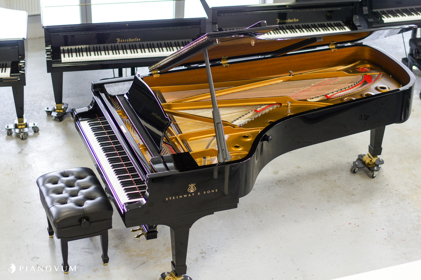 Steinway & Sons D-274 von 2013 in Zwart glimmend
