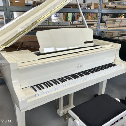 Sauter 160 Alpha von 2018 in Wit glimmend