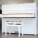 Petrof P118S1 von 2022 in Wit glimmend
