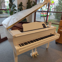 Yamaha GB1 weiß poliert - B-Ware von 2024 in Wit glimmend