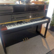Schimmel 120 TN von 1996 in Zwart glimmend