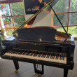 Yamaha S3X von 2024 in Zwart glimmend