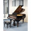 Steinway & Sons A-188 von 1894 in Wortelnoten glimmend