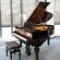 Steinway & Sons O-180 von 1903 in Wortelnoten glimmend