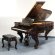 Steinway & Sons B-211 von 1873 in Palisander glimmend