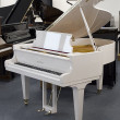 Schimmel 174cm von 1985 in Wit glimmend
