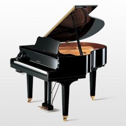 Yamaha DGB1 EN von 2021 in Zwart glimmend