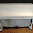 Yamaha B3 E SC 2 PWH von 2019 in Wit glimmend