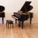 Steinway & Sons S-155 von 1963 in Zwart glimmend
