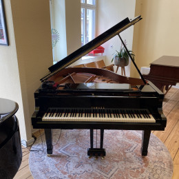 Yamaha C1 Silent von 2010 in Zwart glimmend