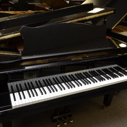 Grotrian-Steinweg 165 von 2013 in Zwart glimmend