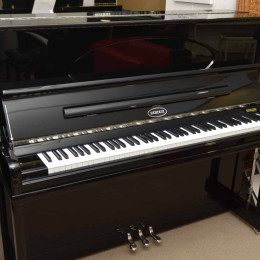 Berdux F 126 von 2019 in Zwart glimmend