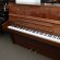Ibach 123 von 1980 in Mahonie glimmend